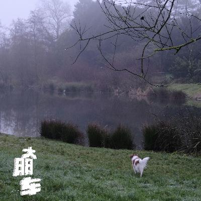 聊聊健哥的能源Project，以及我们如何保存自己的能量