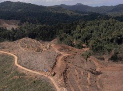 Mongabay Snaps: 10 Artikel Pilihan Pembaca Tahun 2025