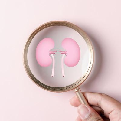 Tira-dúvidas: consumo excessivo de proteínas pode prejudicar as funções renais? Tira-dúvidas: consumo excessivo de proteínas pode prejudicar as funções renais?