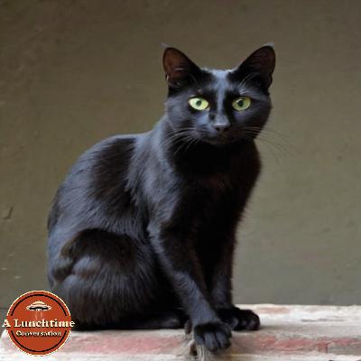 Knock on Wood: Superstitions Knock on Wood: Superstitions