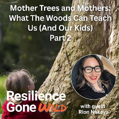 Mother Trees and Mothers: What The Woods Can Teach Us (And Our Kids)