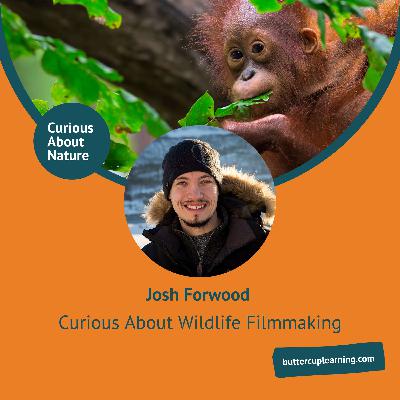 Curious About Wildlife Filmmaking