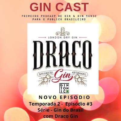 #09 Gins do Brasil - DRACO GIN