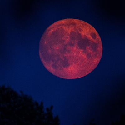 Blutmond: Totale Mondfinsternis über Deutschland