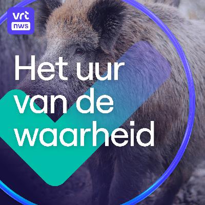 Radicalisering via Roblox en mythes over het everzwijn