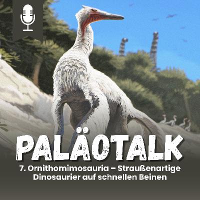 7. Ornithomimosauria – Straußenartige Dinosaurier auf schnellen Beinen 7. Ornithomimosauria – Straußenartige Dinosaurier auf schnellen Beinen