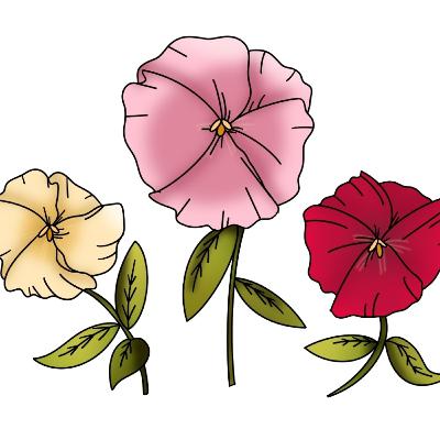 The Secret Garden - Chapter 13 - I Am Colin