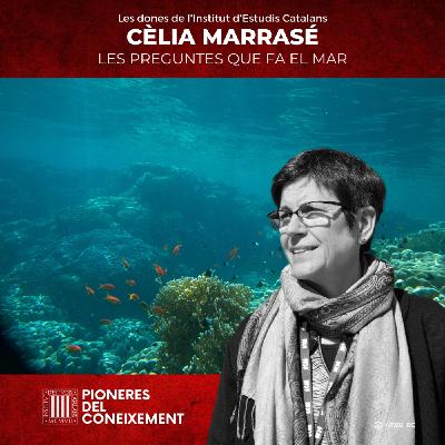 Cèlia Marrasé: Les preguntes que fa el mar