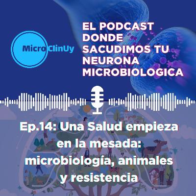 Ep.14: No es solo un problema del hospital, lo que una salud nos obliga a mirar