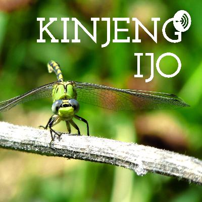 KINJENG IJO (Trailer)