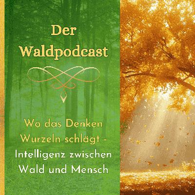 Wo das Denken Wurzeln schlägt - Intelligenz zwischen Wald und Mensch Wo das Denken Wurzeln schlägt - Intelligenz zwischen Wald und Mensch