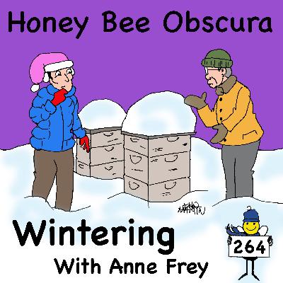 Wintering with Anne Frey (264)