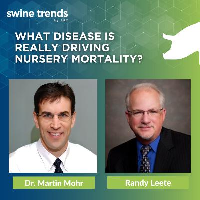 #SHORTS: What disease is really driving nursery mortality? - Dr. Martin Mohr