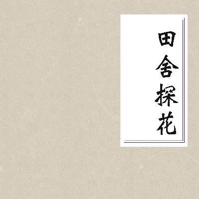 《田舍探花》