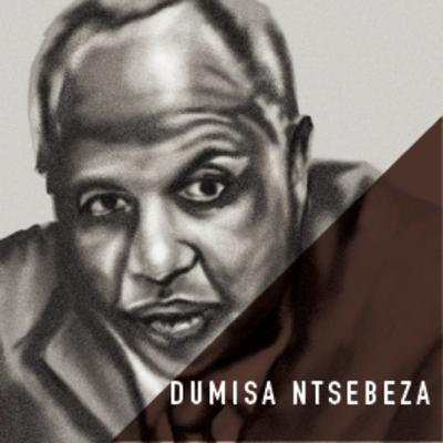 Advocate Dumisa Ntsebeza