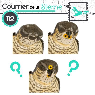 CDLS#112 : Les Marionnettistes ( Mésange charbonnière, et Chardonneret mineur)