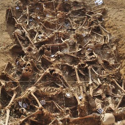 Echoes of the axe: Neolithic war trophies and climate crisis in ancient Alsace