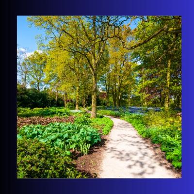 #203 Giardinaggio creativo: struttura, passione e orto ornamentale