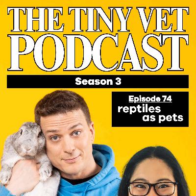75: Reptiles as Pets