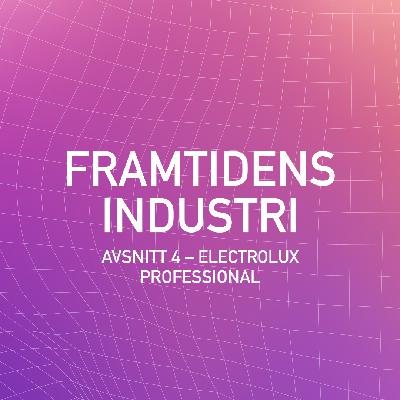 4. Electrolux Professional