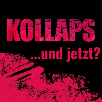 Stimmen vom KollapsCamp Stimmen vom KollapsCamp
