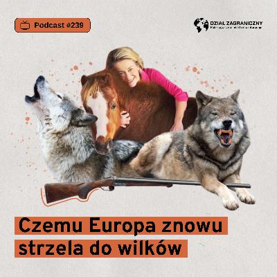 Czemu Europa znowu strzela do wilków (Dział Zagraniczny Podcast#239)