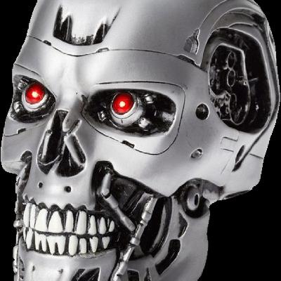 Hoy poliniza con nosotros: Skynet Hoy poliniza con nosotros: Skynet