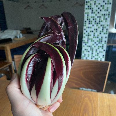 #25 「もやしもん」を読んで②意味はあるのか？食料自給率の問題