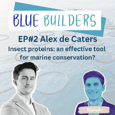 Alex de Caters - insect proteins in 2025: an effective tool for marine conservation?