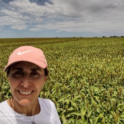 Agroecología ¿Para qué sirve?