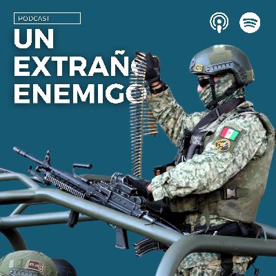 44. ¿En qué gasta y cómo gasta México en su sector defensa?