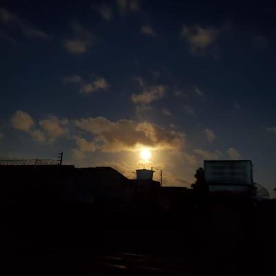 A dama do amanhecer - resumo
