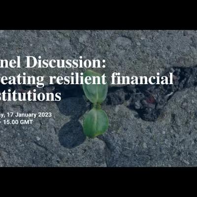 Creating Resilient Financial Institutions Creating Resilient Financial Institutions