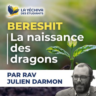 Bereshit - La naissance des dragons Bereshit - La naissance des dragons