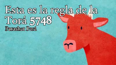 Esta es la regla de la Torá 5748
