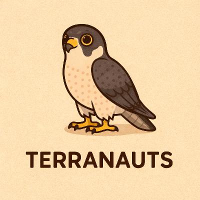 Peregrine falcon! Peregrine falcon!