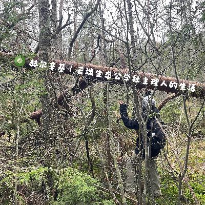 89:赫尔辛基|云端生态共学社主理人的生活 89:赫尔辛基|云端生态共学社主理人的生活