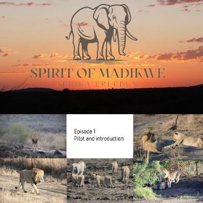 Spirit of Madikwe - Episode 1 Introduction