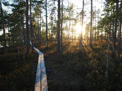 Season 4, Episode 19: Living Sustainably: A View from Finland with Mette Hartonen and Niilo Syväoja