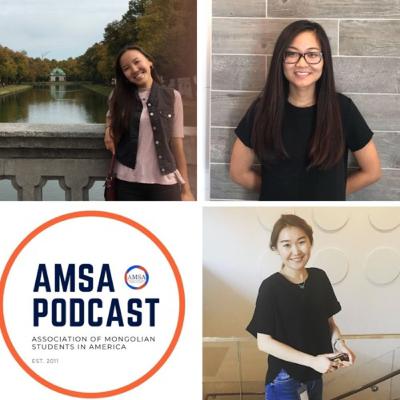 #5. АНУ-ын Томоохон Бизнесийн Зөвлөх Kомпаниудад Xэрхэн Шинжээч Болон Зөвлөхөөр Aжилд Oрох Вэ?