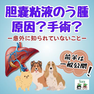 #1057. 意外な胆嚢粘液のう腫の原因？手術しないと破裂？対処法（質問に回答）