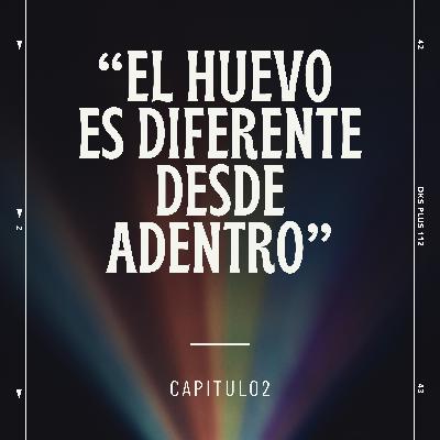 El huevo desde adentro