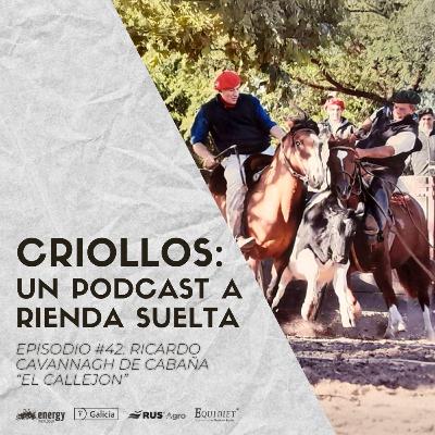 Episodio #42 - Ricardo Cavannagh de "Cabaña El Callejón"