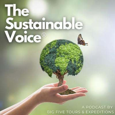 Carbon Offsetting vs Off-Putting | PART 3
