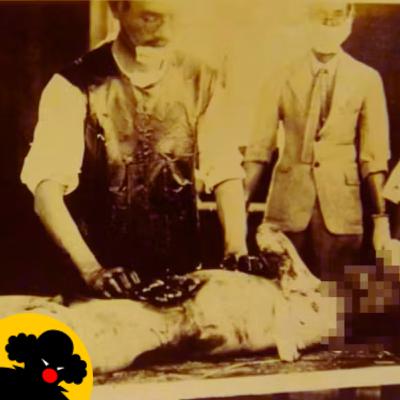 La Cosa es Así - T. 1 C. 12 - La Masacre del Escuadrón 731, el Secreto de los Secretos