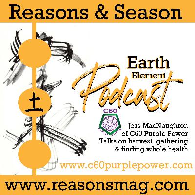 Harvest Harmony C60 Purple Power Harvest Harmony C60 Purple Power