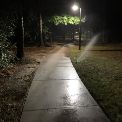 Half Hour live from Cellar 7