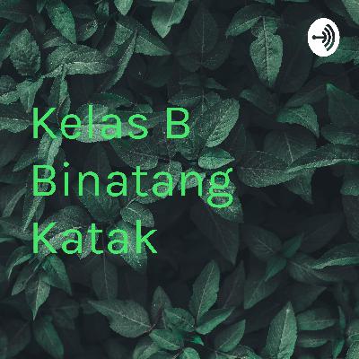 Mengenal jenis-jenis binatang yg bisa terbang