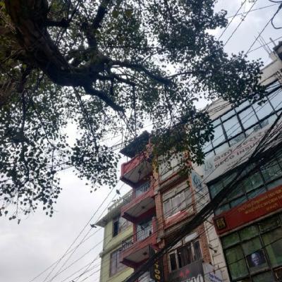 Day 151- Kathmandu and A Surprise Trip Back Home