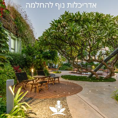 אדריכלות נוף להחלמה: על תכנון מרחבי ריפוי וגני מרפא – חלק ב׳